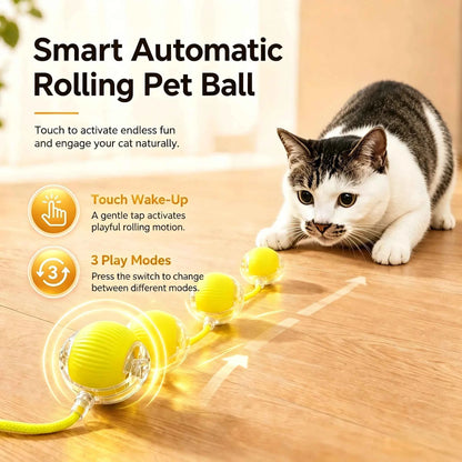 Interactive cat ball by Zootly – photo 5
