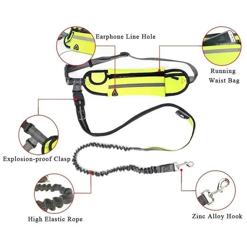 Running dog leash by Zootly – photo 6