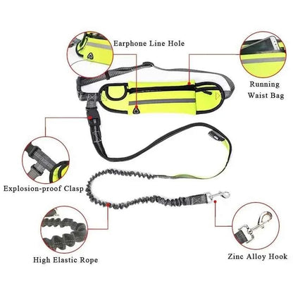 Running dog leash by Zootly – photo 6