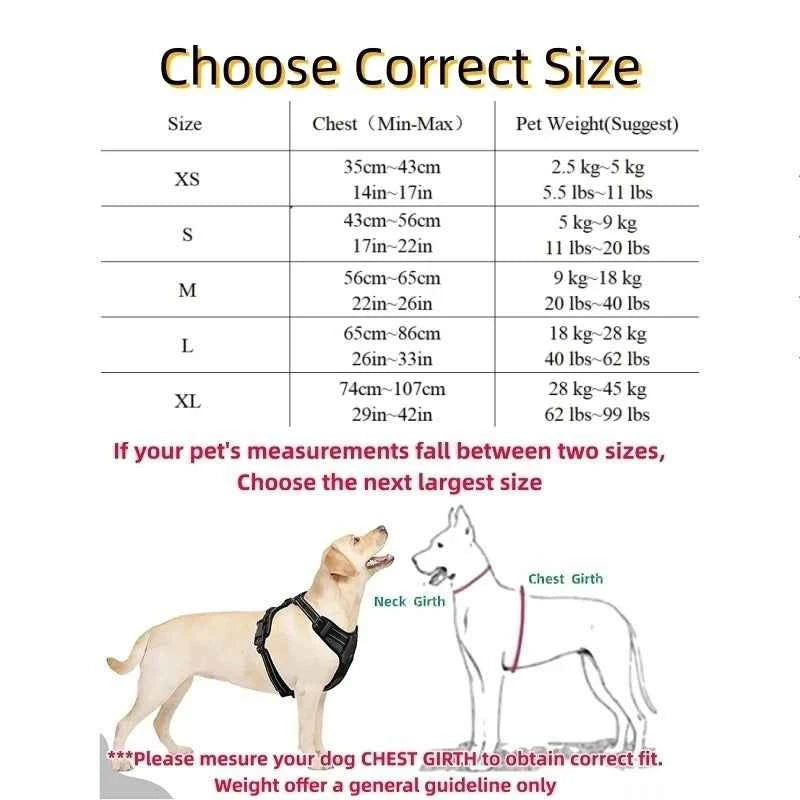 No pull dog vest harness by Zootly – photo 5