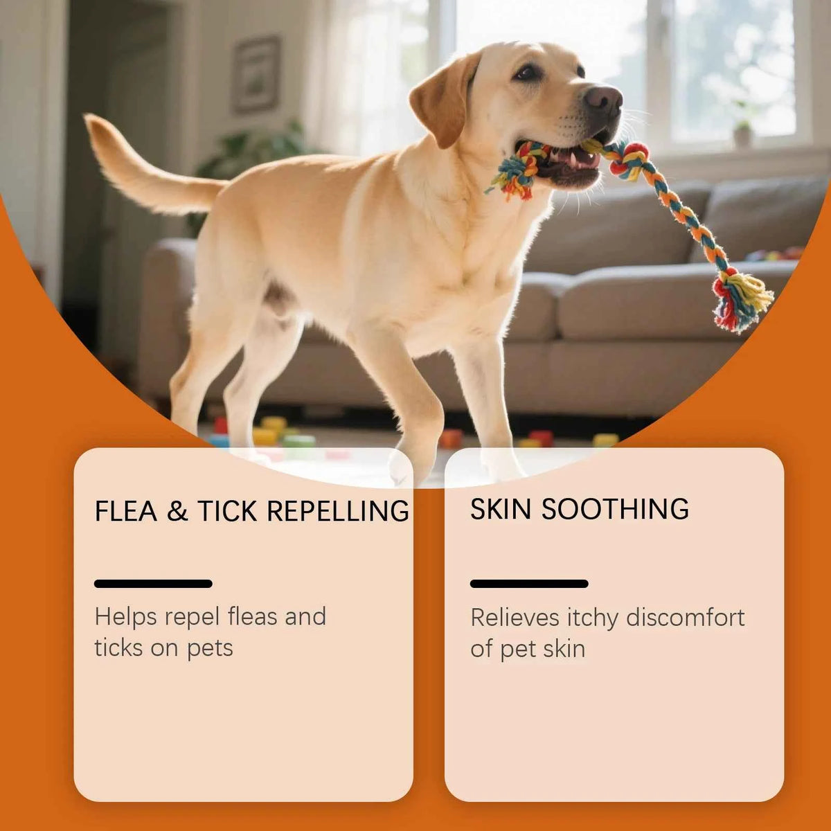 Flea and tick shampoo by Zootly – photo 2