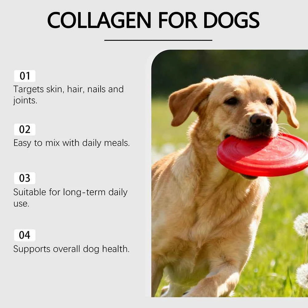Liquid collagen for dogs by Zootly – photo 3