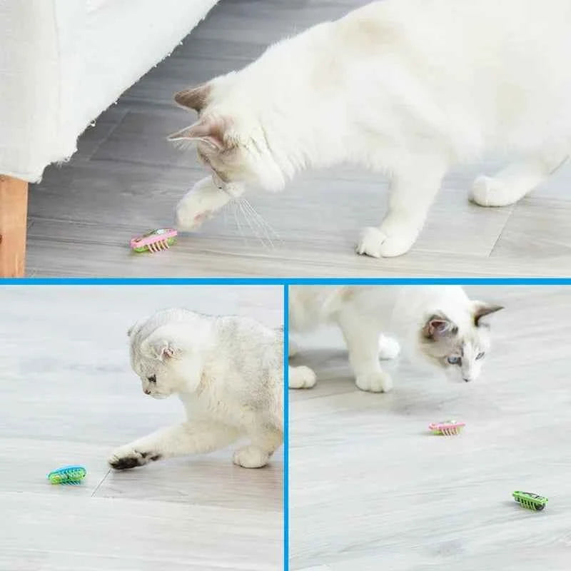 Electric cat toy by Zootly – photo 5