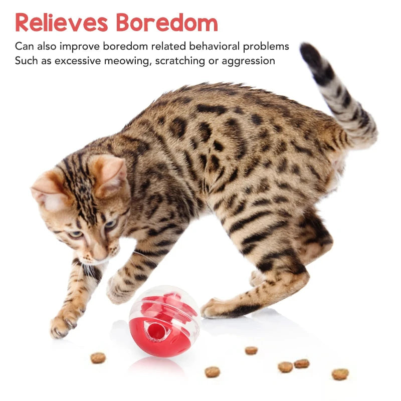 Balle à friandises pour chat - jouet résistant