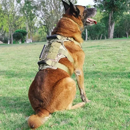 No pull tactical dog harness by Zootly – photo 5