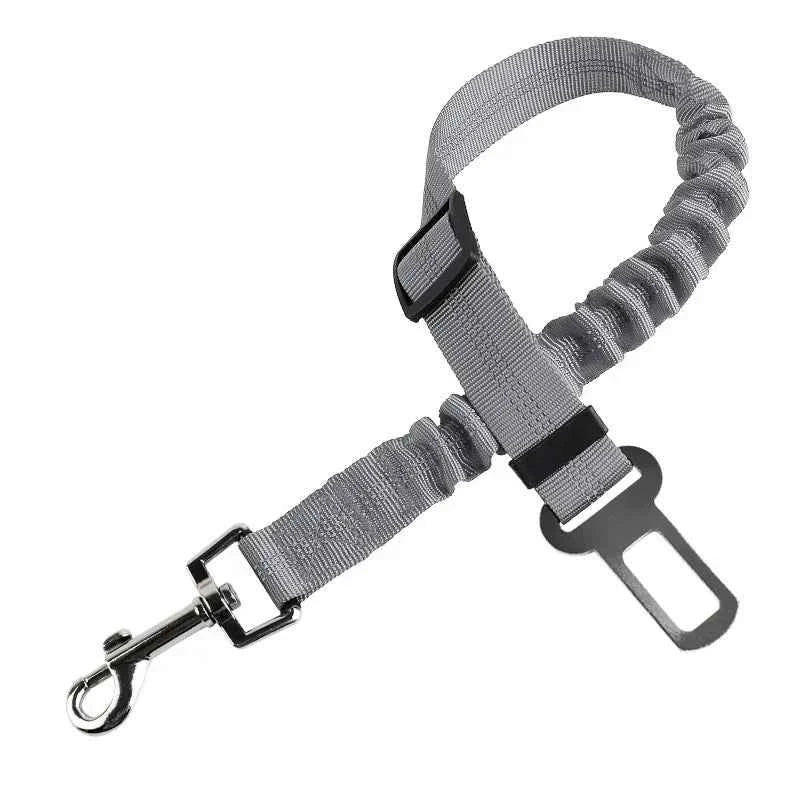 Dog sitting securely with a car seat belt