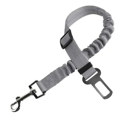 Dog sitting securely with a car seat belt