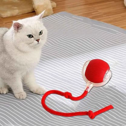 Automatic cat toy by Zootly – photo 5