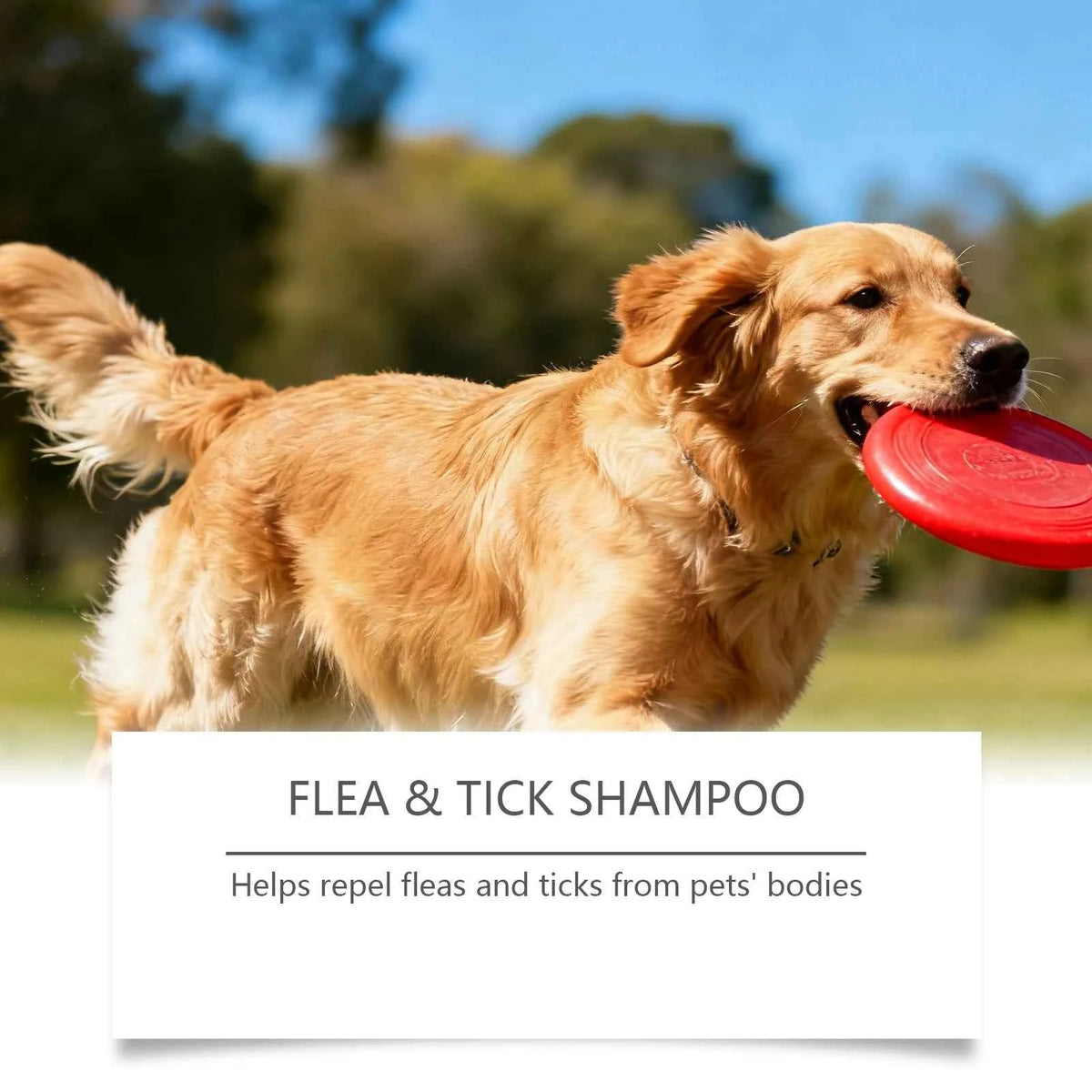 Flea and tick shampoo by Zootly – photo 3