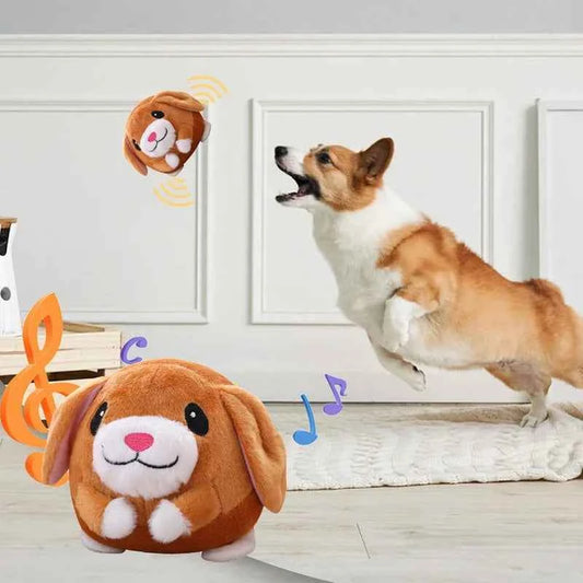 Squeaky Plush Ball Toy for Dogs