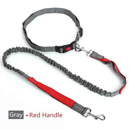 Retractable hands free dog leash by Zootly – photo 8