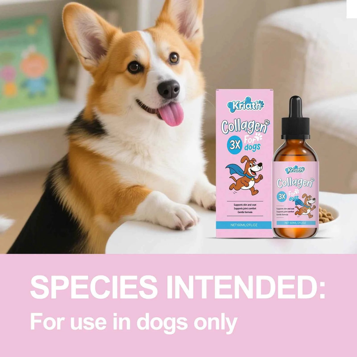 Dog joint supplement collagen by Zootly – photo 2