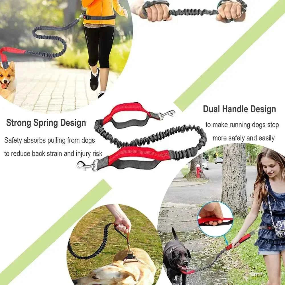 Retractable hands free dog leash by Zootly – photo 2