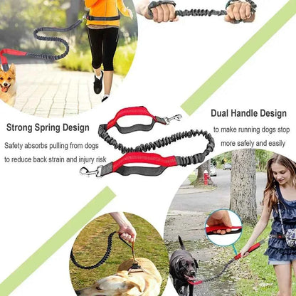 Retractable hands free dog leash by Zootly – photo 2