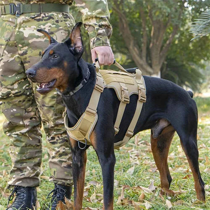 No pull tactical dog harness by Zootly – photo 2