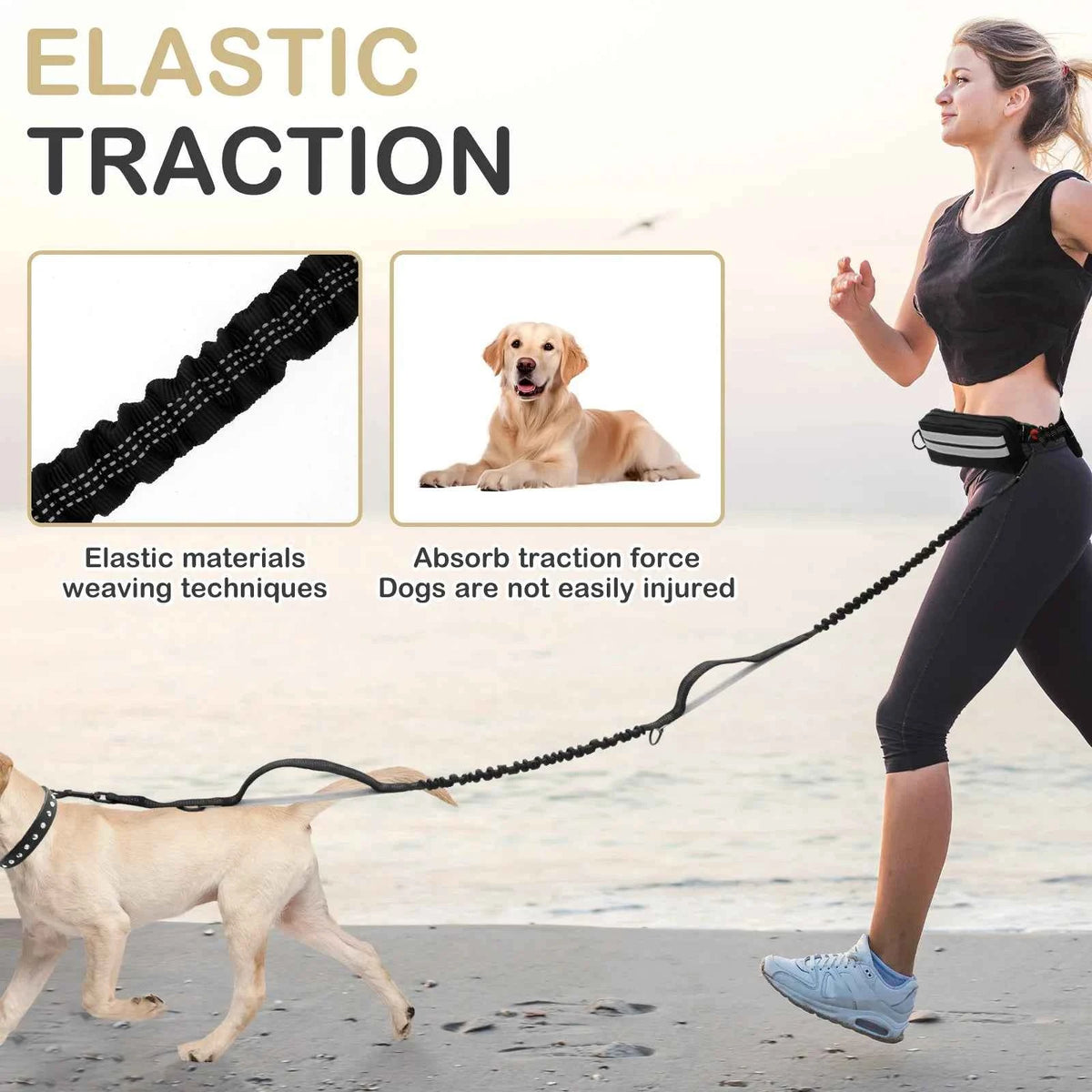 Double dog leash by Zootly – photo 4