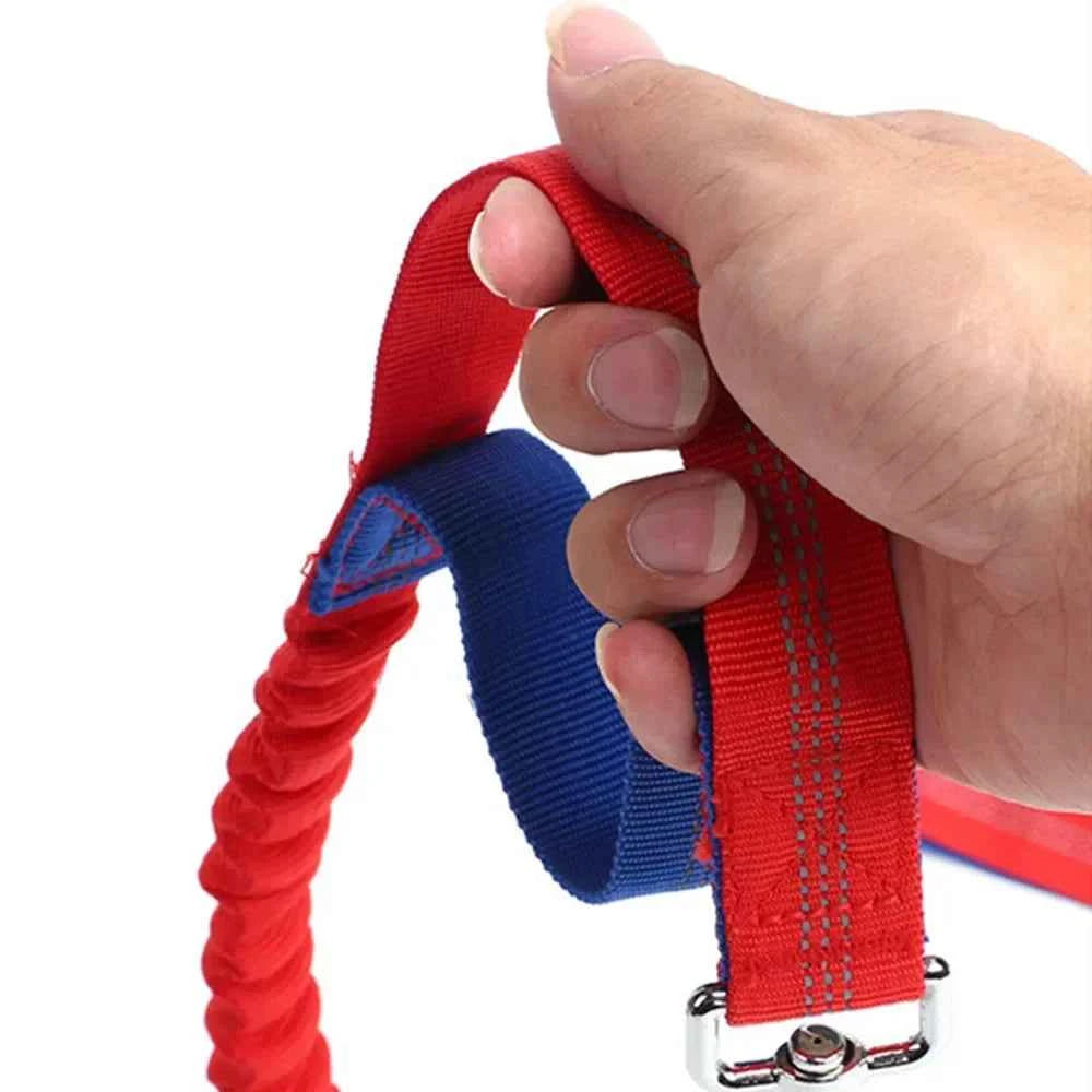 Retractable hands free dog leash by Zootly – photo 5
