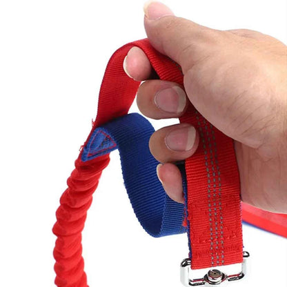 Retractable hands free dog leash by Zootly – photo 5