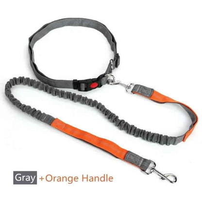 Retractable hands free dog leash by Zootly – photo 9
