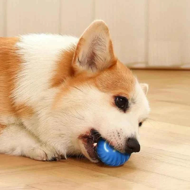 Interactive dog ball by Zootly – photo 4