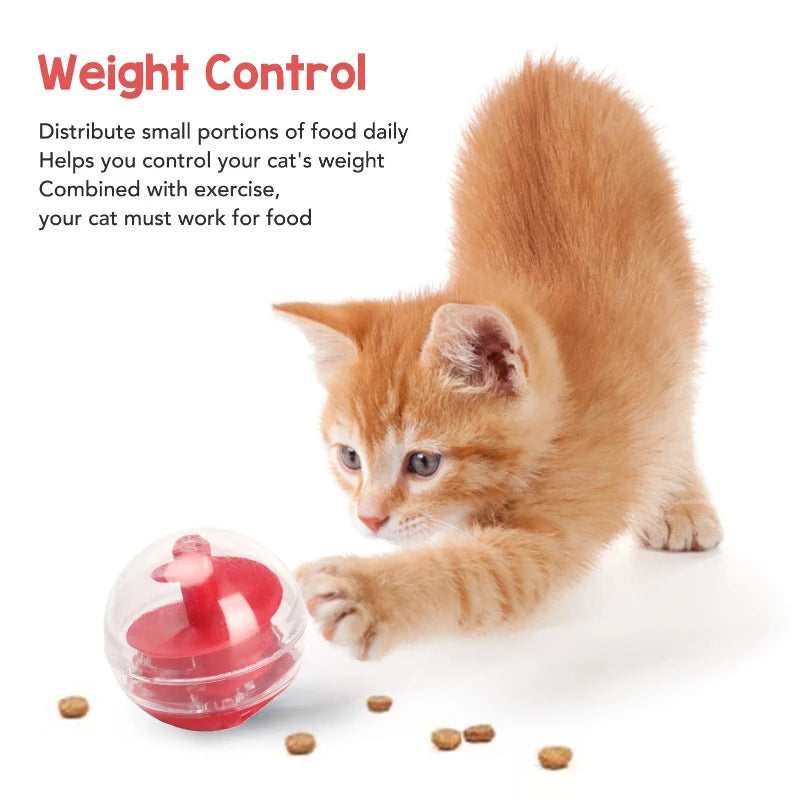 Balle à friandises pour chat - jouet résistant