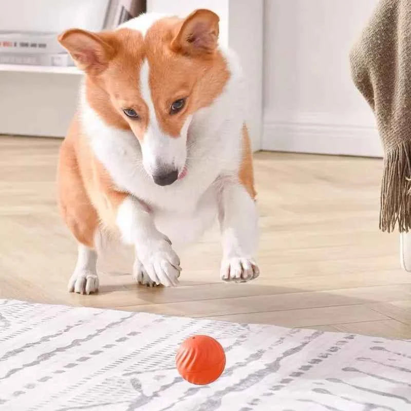 Interactive dog ball by Zootly – photo 5