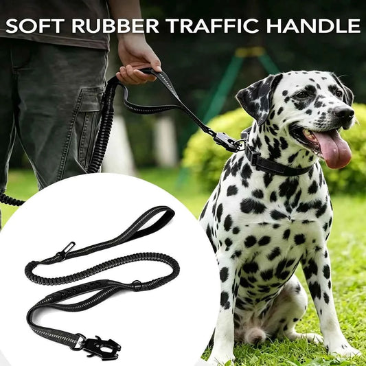 Shock-Absorbing Dog Leash – Dual Handle