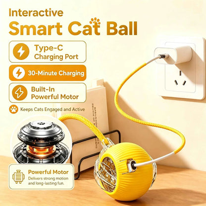 Interactive cat ball by Zootly – photo 4