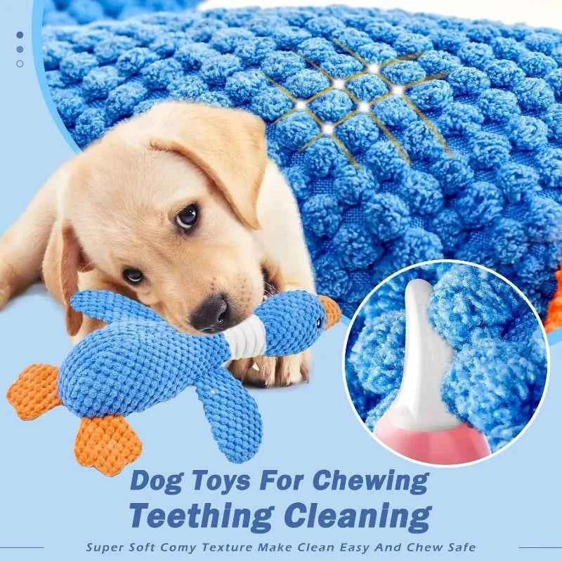 Squeaky plush dog toy by Zootly – photo 2