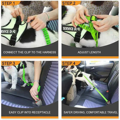 Shock-absorbing dog seat belt for safer braking