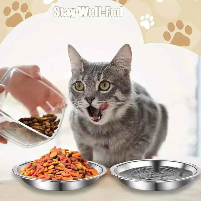Whisker friendly cat bowl by Zootly – photo 3