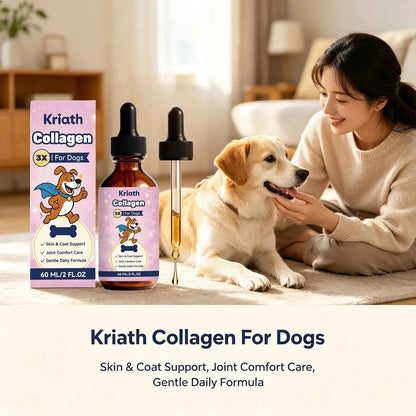 Liquid Collagen Drops for Dogs – Joints & Coat