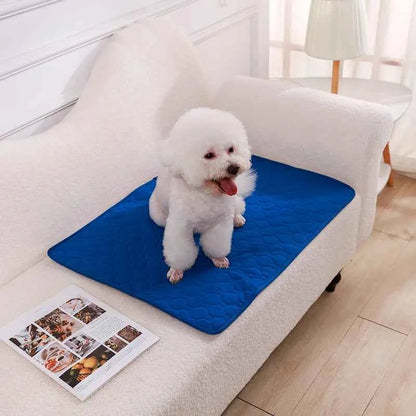 Washable puppy pads by Zootly – photo 19