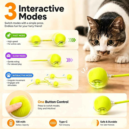 Interactive cat ball by Zootly – photo 3