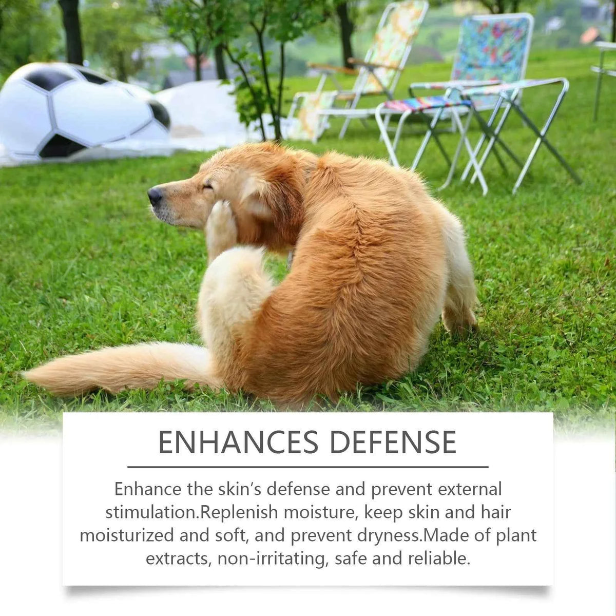 Sensitive skin dog shampoo by Zootly – photo 4