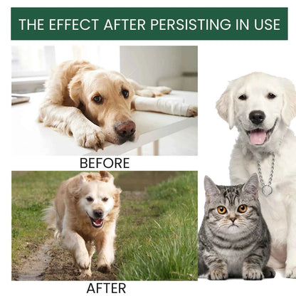 Dog joint supplement by Zootly – photo 3