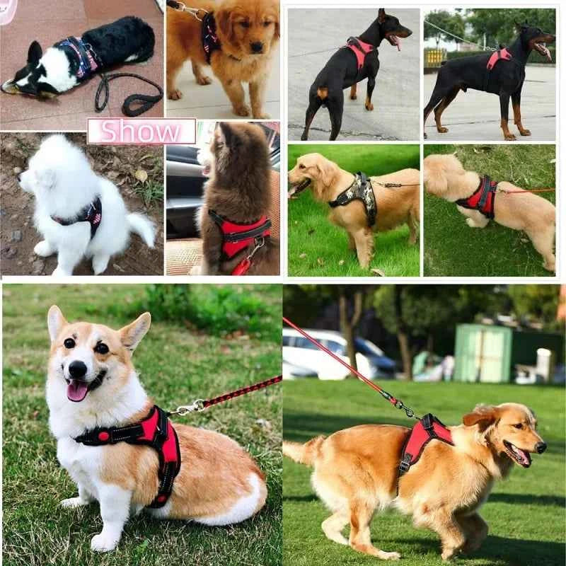 No pull dog vest harness by Zootly – photo 3