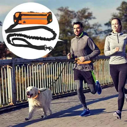 Running dog leash by Zootly – photo 4