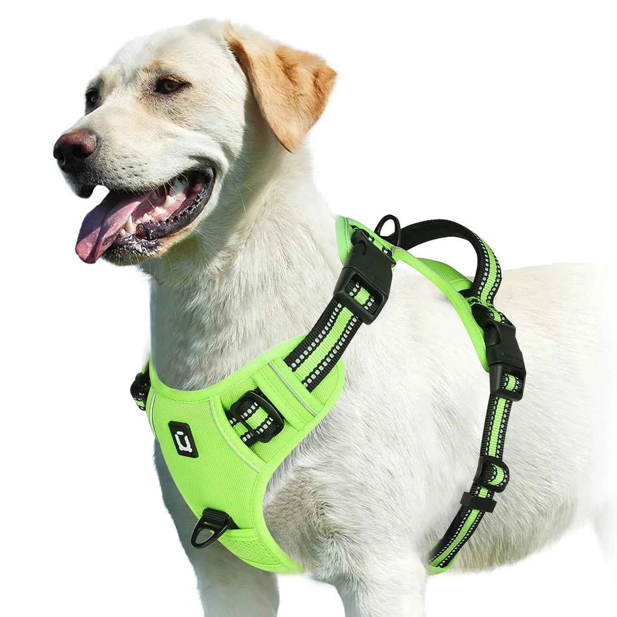 Adjustable no-pull dog harness straps
