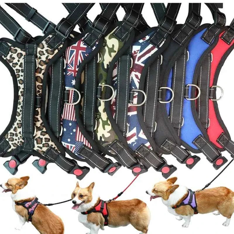 No pull dog vest harness by Zootly – photo 2