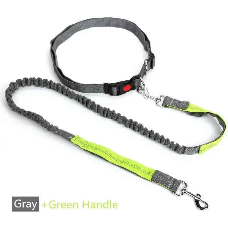 Retractable hands free dog leash by Zootly – photo 7