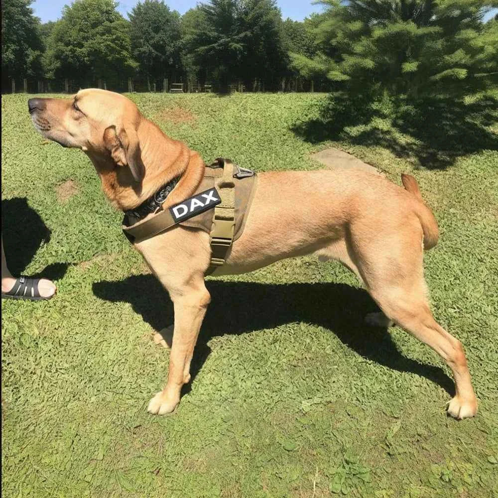 Tactical dog harness by Zootly – photo 5