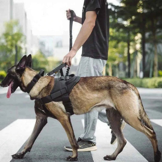 Tactical Dog Harness with Handle – 900D Nylon