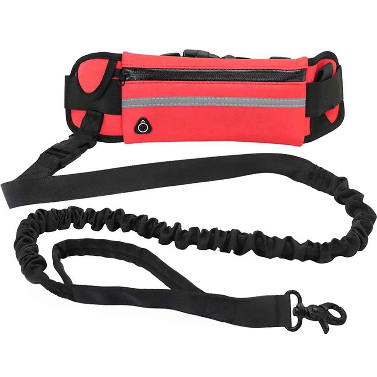 Double dog leash by Zootly – photo 11