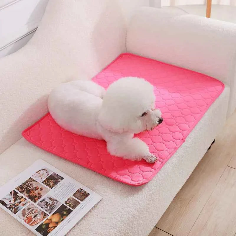 Washable puppy pads by Zootly – photo 15