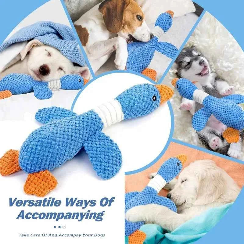 Squeaky plush dog toy by Zootly – photo 6