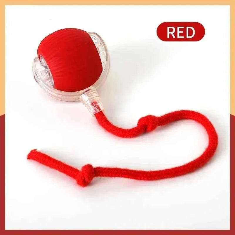 Automatic cat toy by Zootly – photo 9