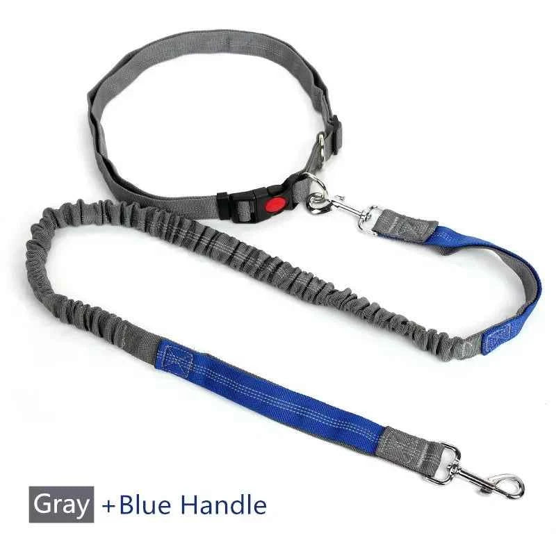 Retractable hands free dog leash by Zootly – photo 10