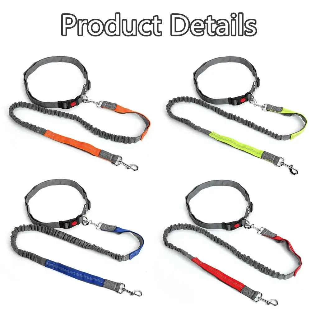 Retractable hands free dog leash by Zootly – photo 3
