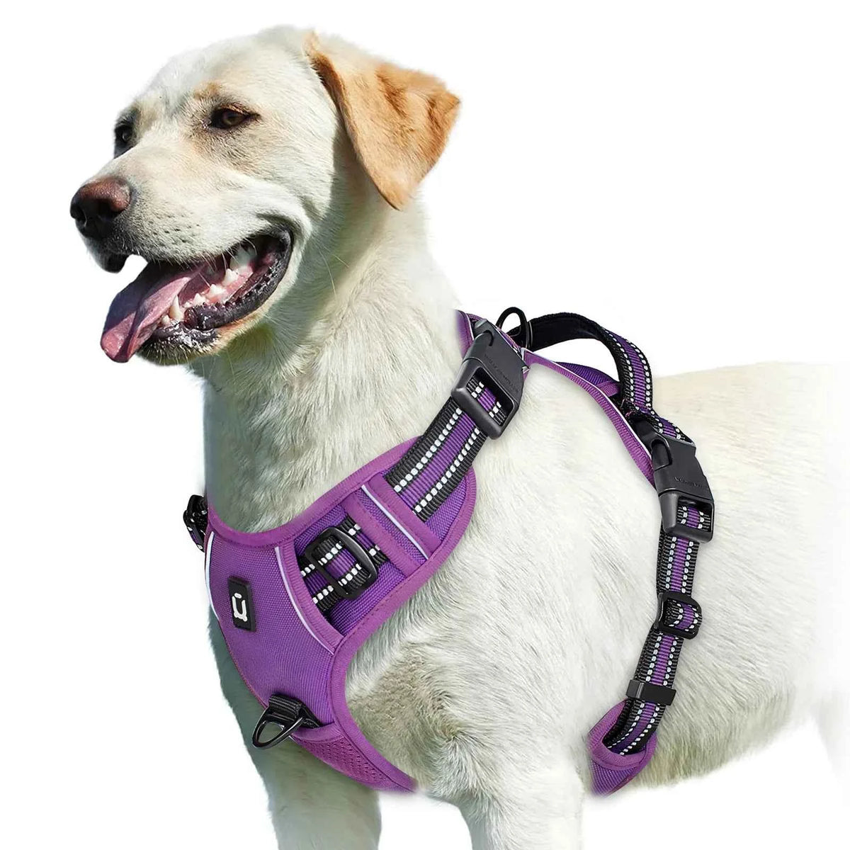 Reflective no-pull dog harness for safer winter walks